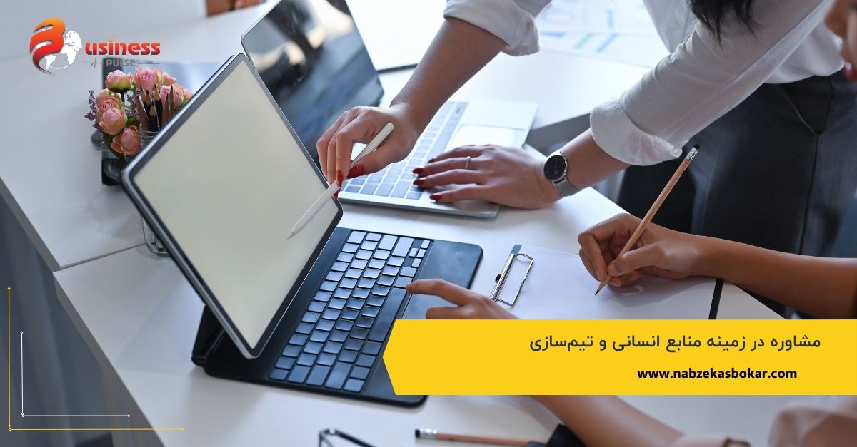 مشاوره در زمینه منابع انسانی و تیم‌سازی